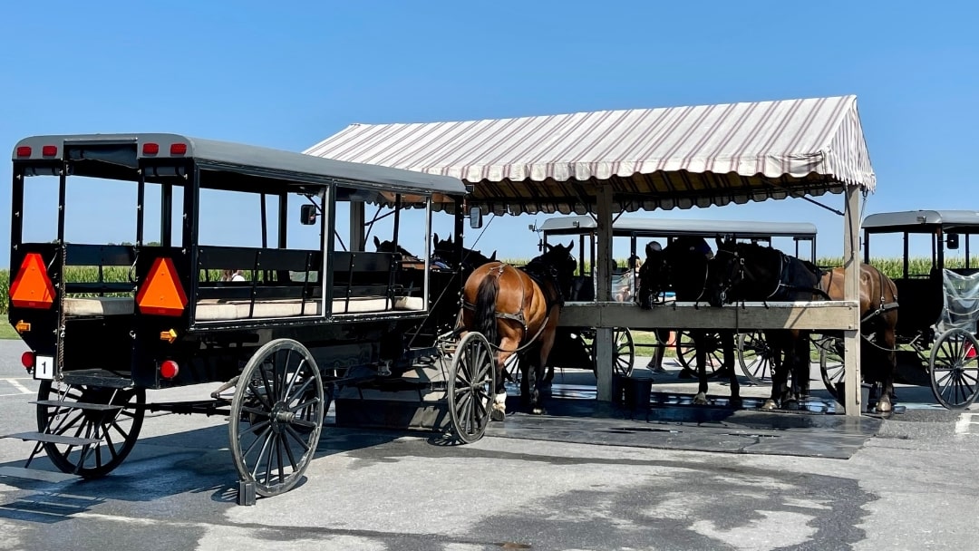 Amish Buggy Parking
