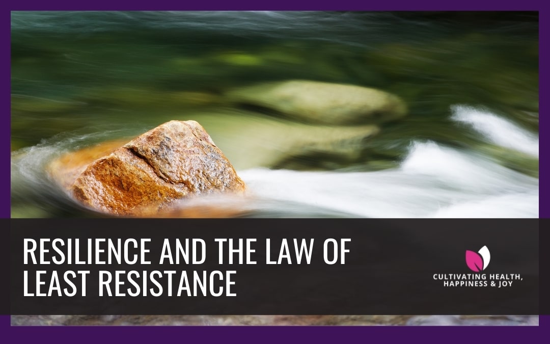 Resilience and the Law of Least Resistance