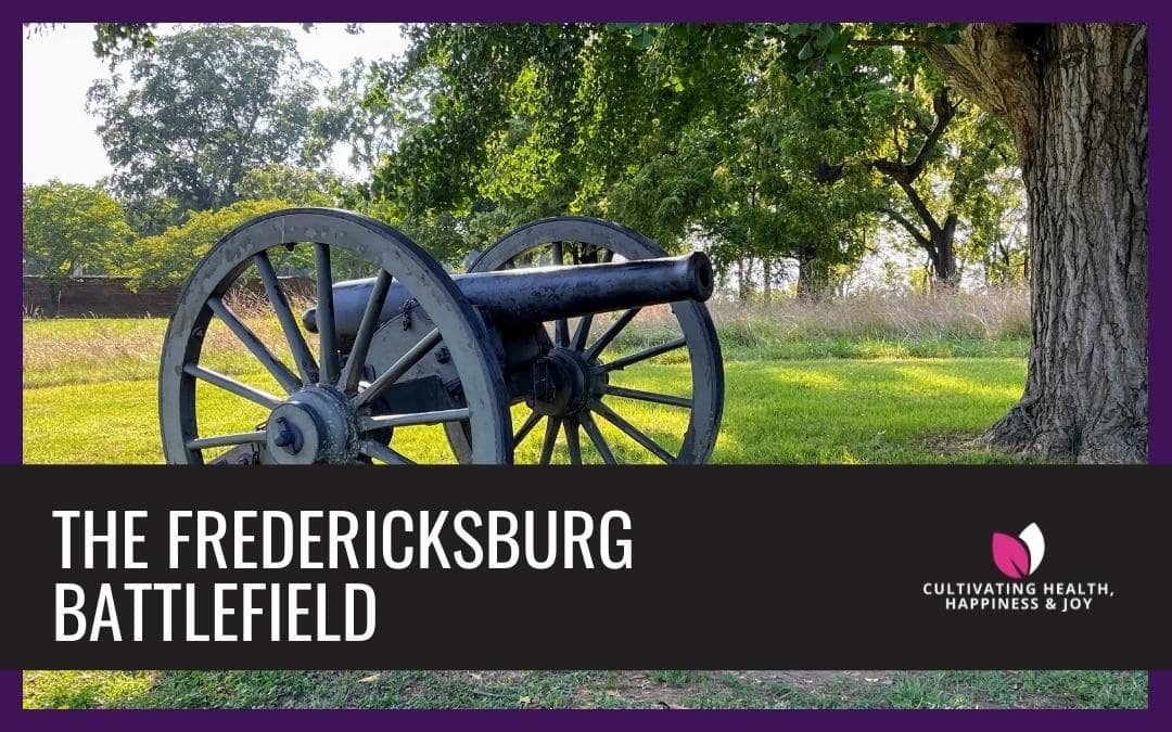 Visit to the Fredericksburg Battlefield